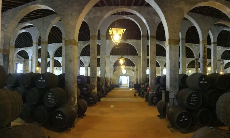 Wine cellar